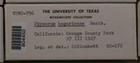 Image Associated With the Occurence